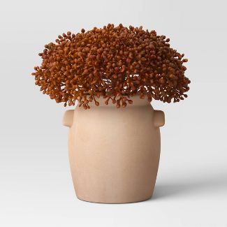 Small Artificial Sedum Arrangement Red - Threshold™ | Target