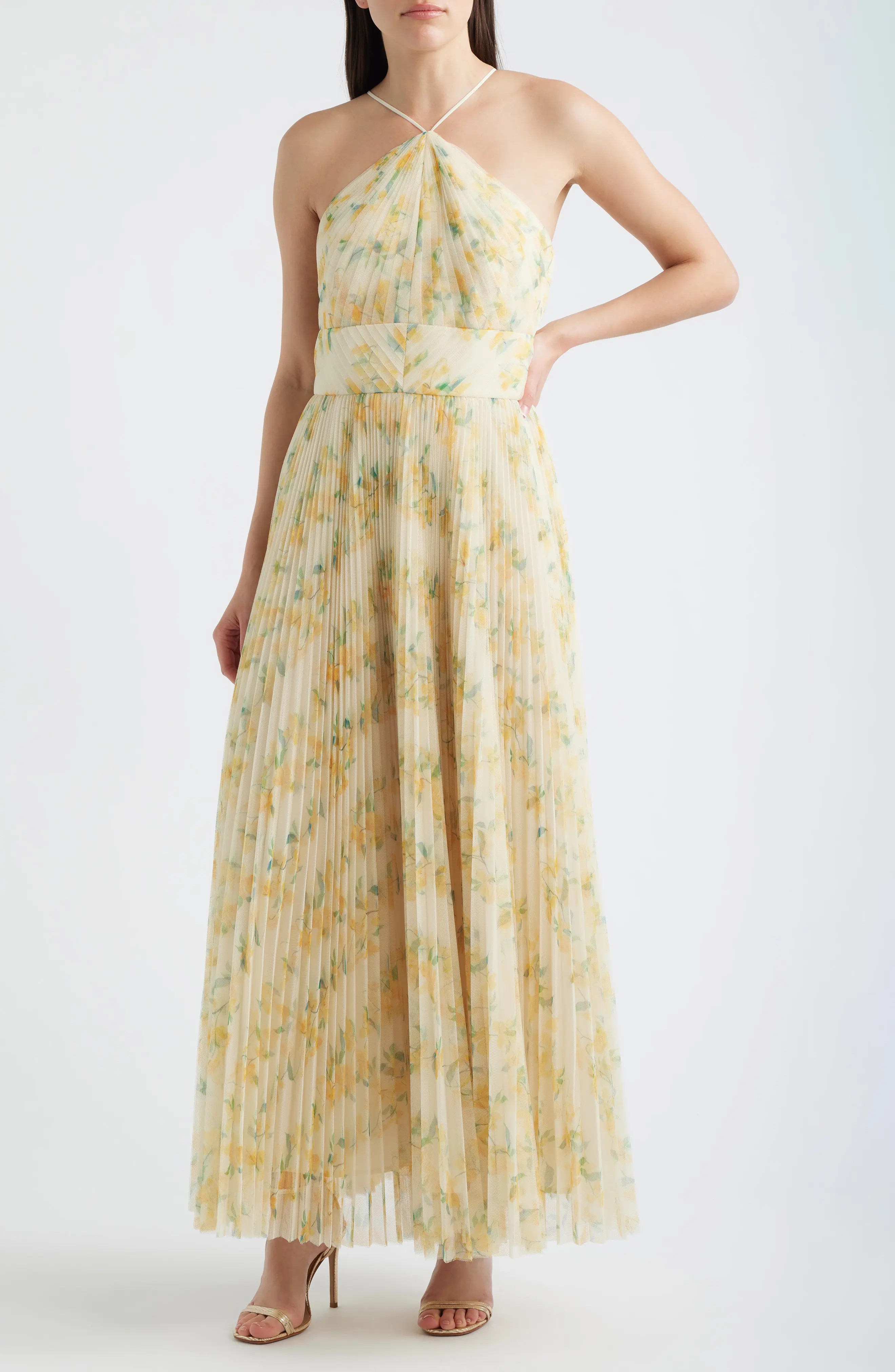 Hutch Blaine Pleated Gown (Women) | Nordstrom | Nordstrom