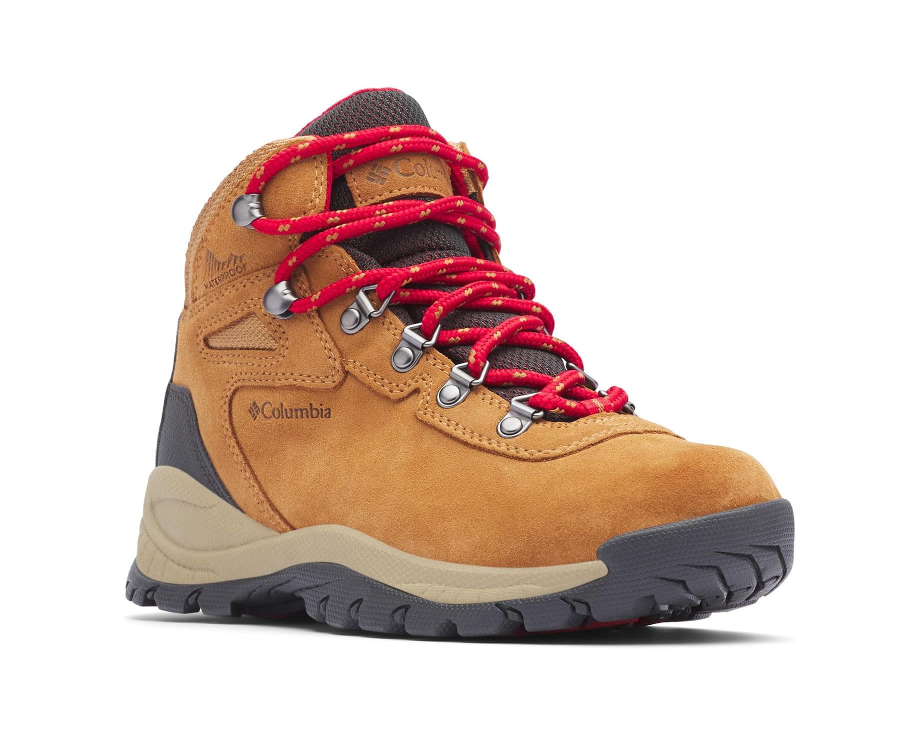 Newton Ridge Plus Waterproof Amped | Zappos