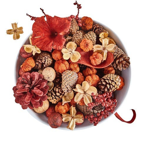 Pumpkin Spice Collection | Pier 1 Imports