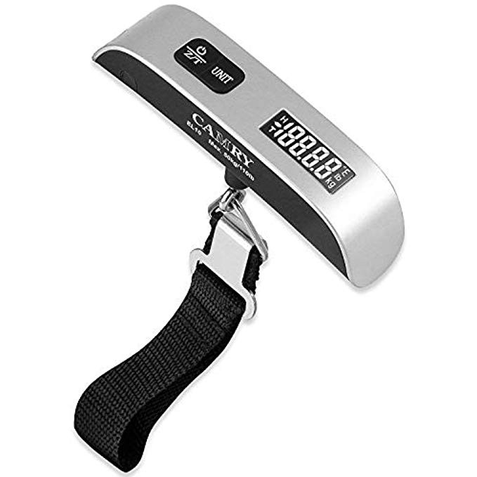 Camry 110 Lbs Luggage Scale with Temperature Sensor and Tare Function Gift For Traveler, Silver, One | Amazon (US)