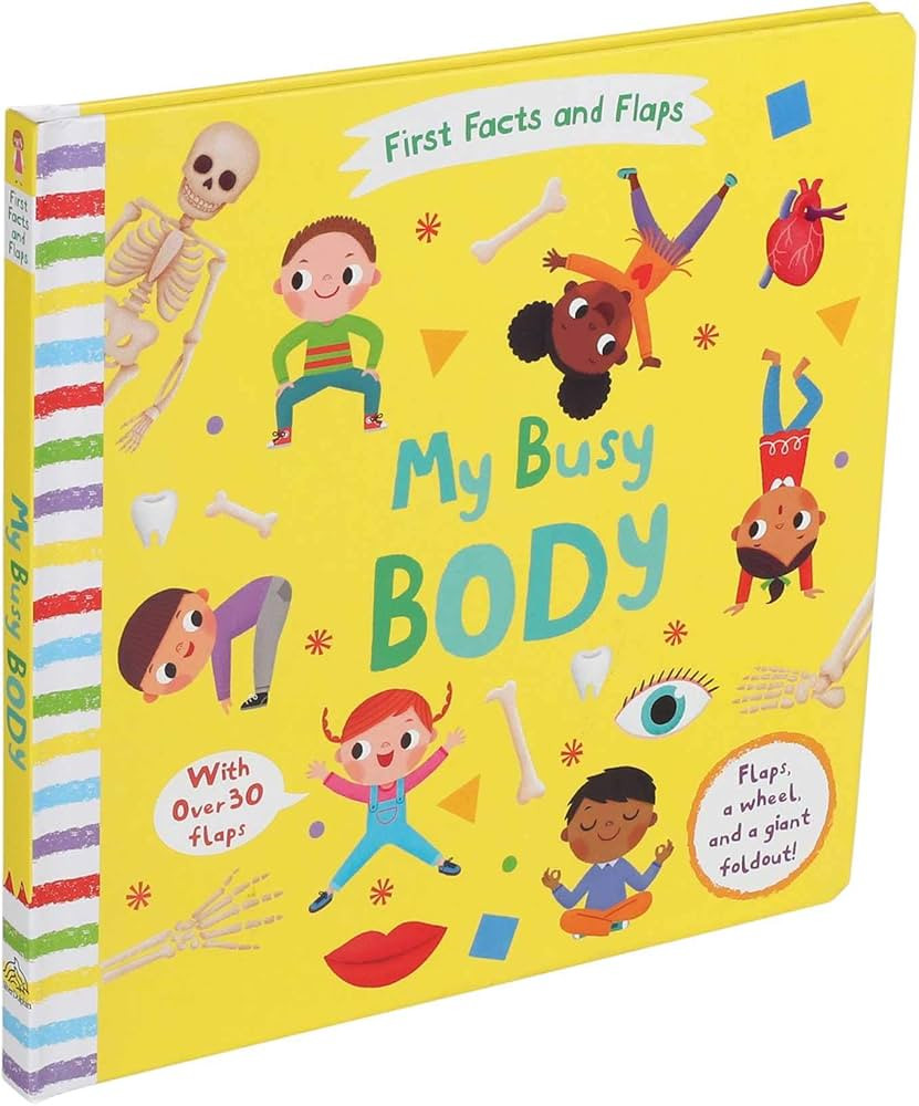 First Facts and Flaps: My Busy Body | Amazon (US)