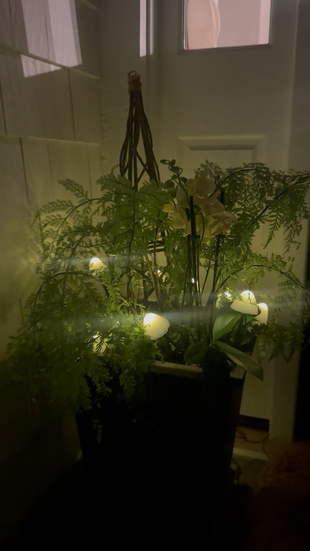 These solar powered mushroom lights are my favorite new find! 
Shop them and everything here. 
@shopterrain 