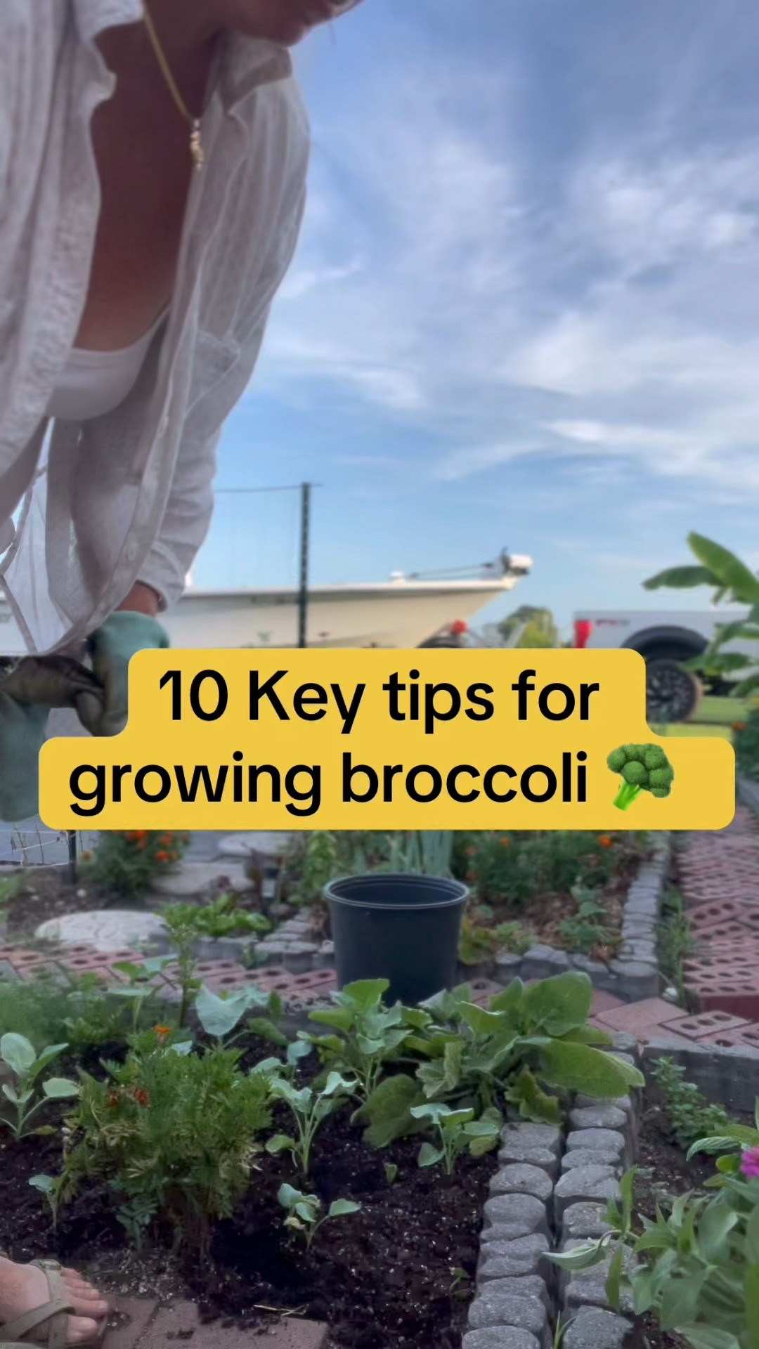 Best summer shorts and tank for gardening in the heat!

#LTKHome #LTKSeasonal #LTKOver40