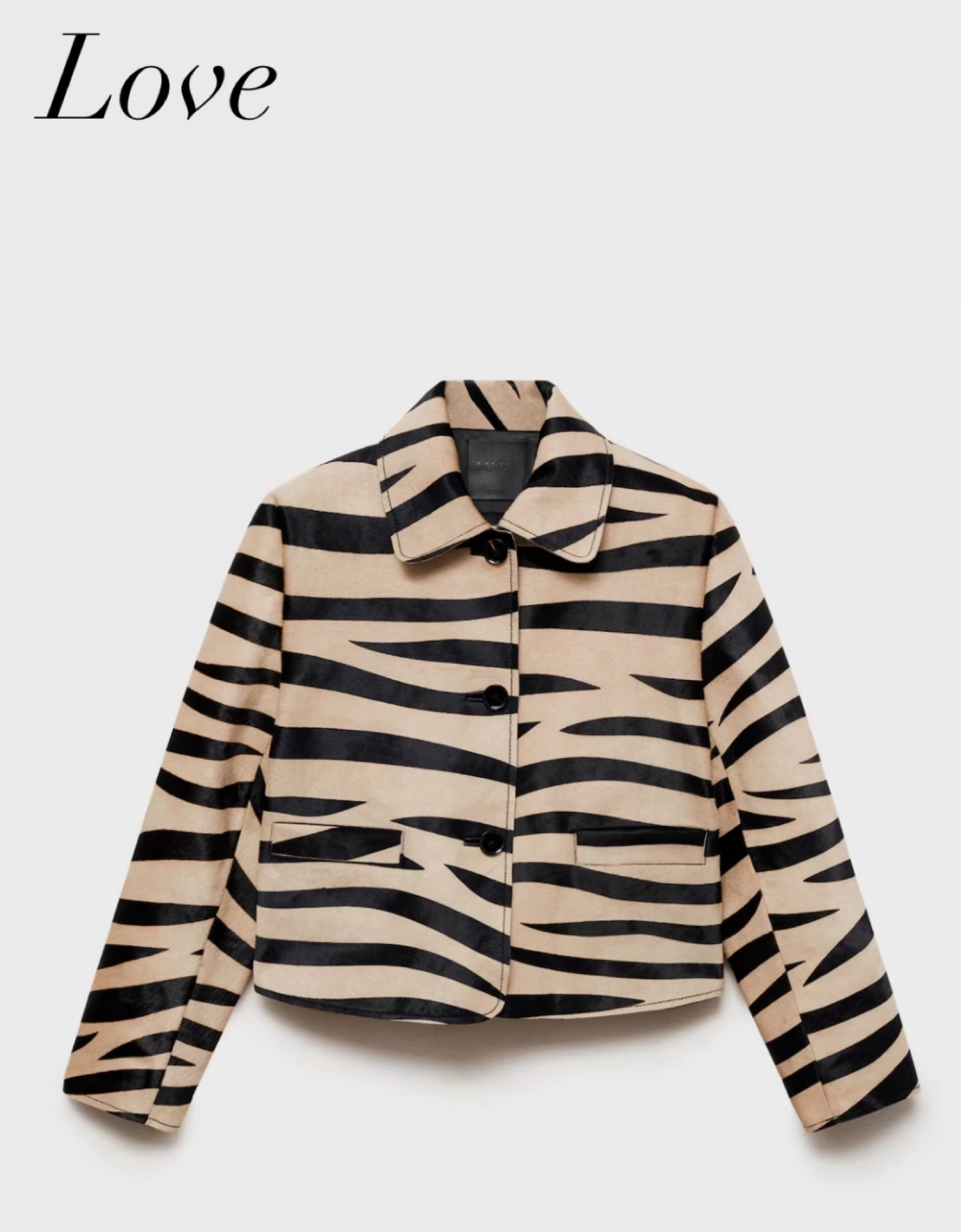 Cutest Zebra Leather Jacket 