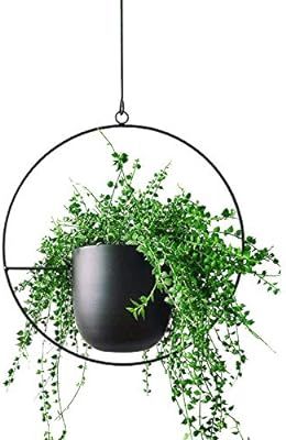FUNME Modern Black Hanging Round Metal Plant Holder Flower Pots Hanging Indoor for Home Decor Set... | Amazon (US)