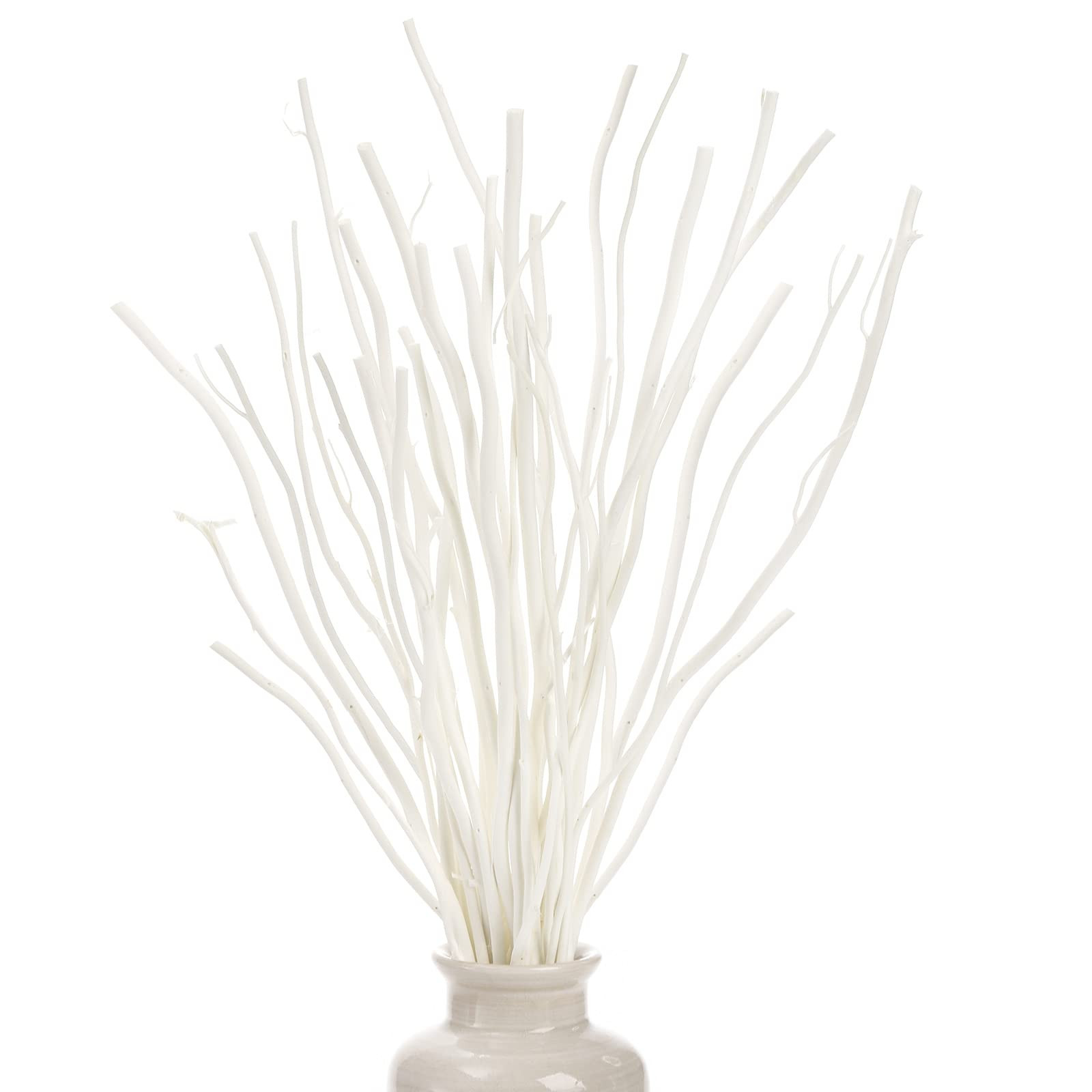 SOUJOY 30 PCS Willow Stick, Decorative Dried Curly Branches, 10'', 12'' Natural Wood Diffuser Sti... | Amazon (US)