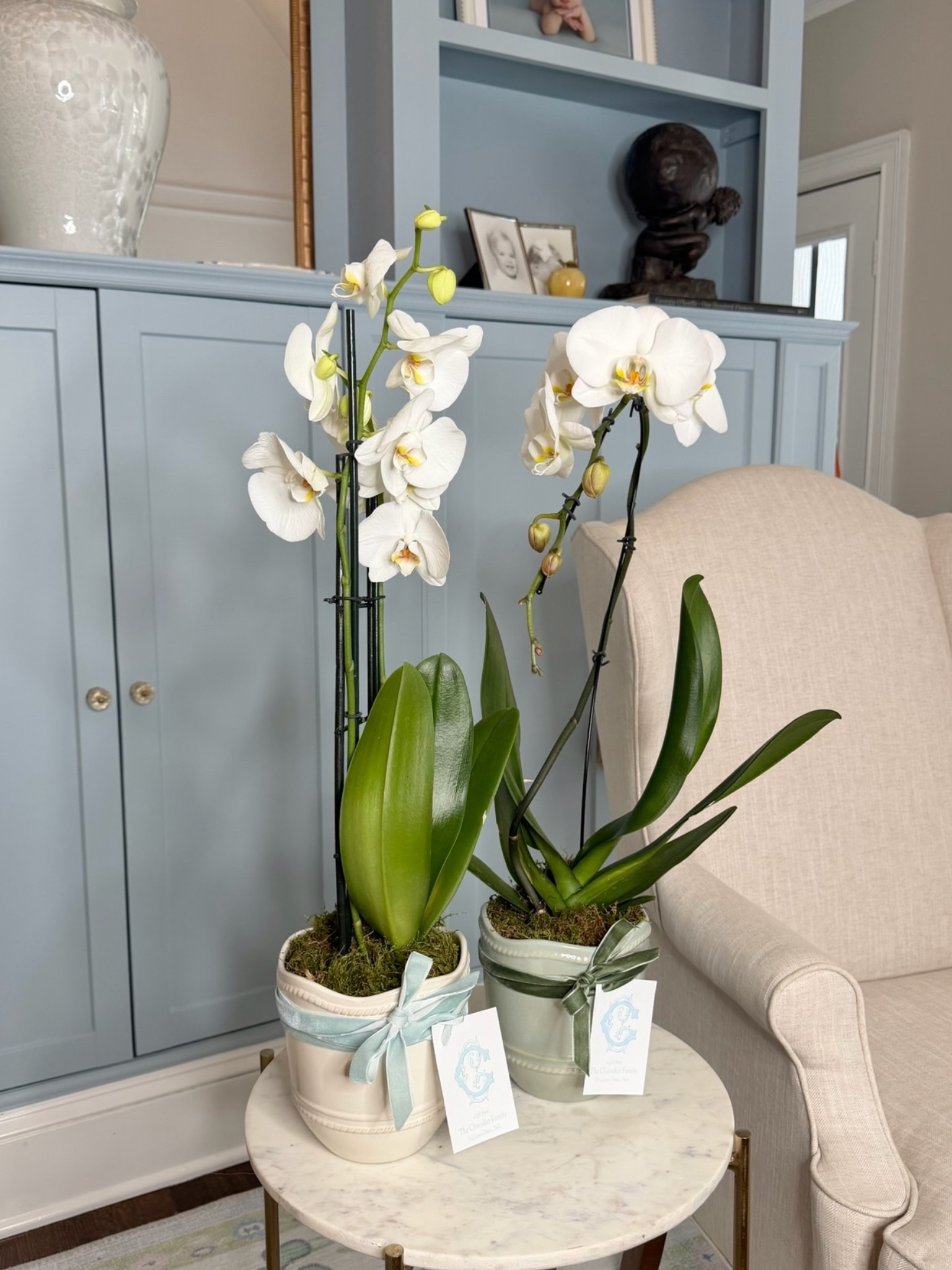 Planting these orchids in these adorable ceramic pots made for the perfect gift! Tied a ribbon with a personalized gift tag around this to pull it all together!

Gift Ideas, Vase, Flowers, Garden

#LTKHome #LTKmomlife #LTKxMadewell