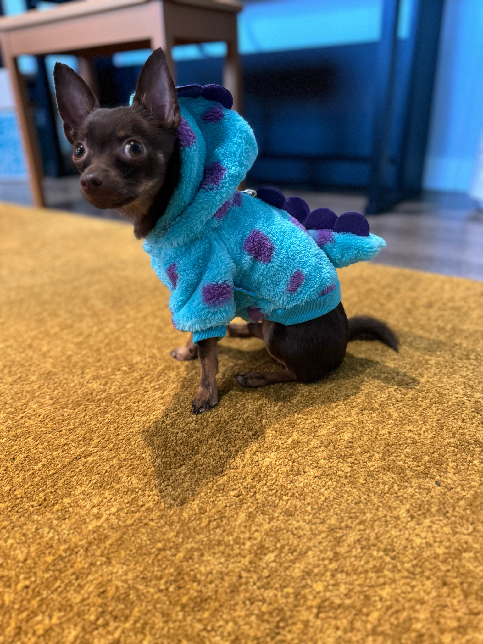 Not a monster 😈 #LTKpets