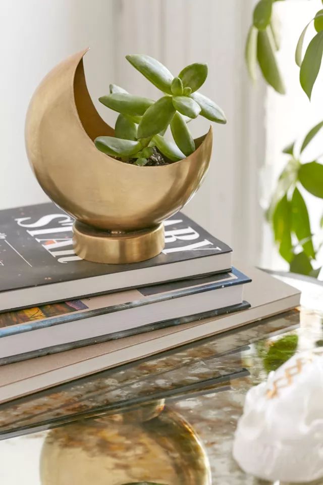 Half Moon 4" Planter | Urban Outfitters (US and RoW)