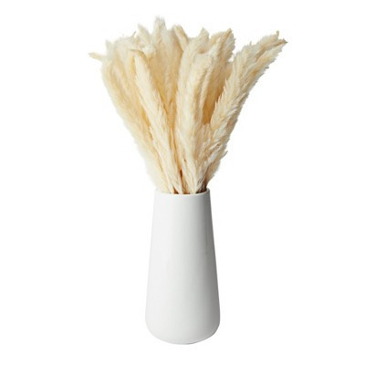 Farmlyn Creek 40 Pack Ivory Natural Dried Pampas Grass Branches with White Ceramic Vase, Plants for Home Decor, 16 in | Target
