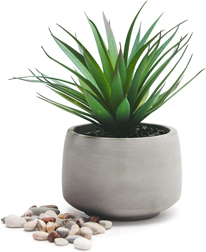 Kurrajong Farmhouse Gorgeous Fake Plant in Pot - Faux Desert Plant - 7"x 4.5" Artificial Succulent - | Amazon (US)