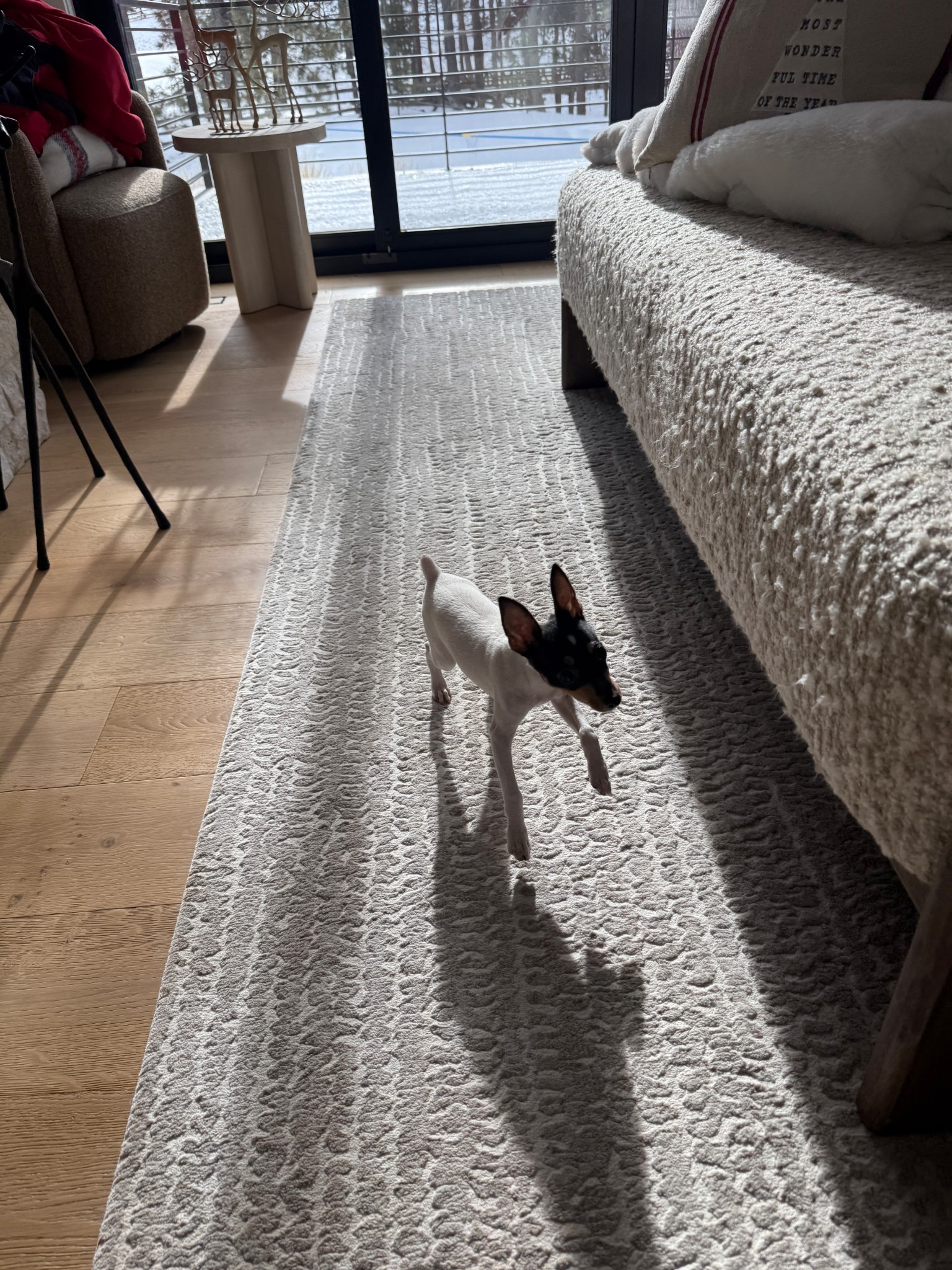 This upholstered bench has been one of my favorite additions to the primary bedroom. I have the matching ottomans as well. So good!

#LTKHome #LTKdayinmylife