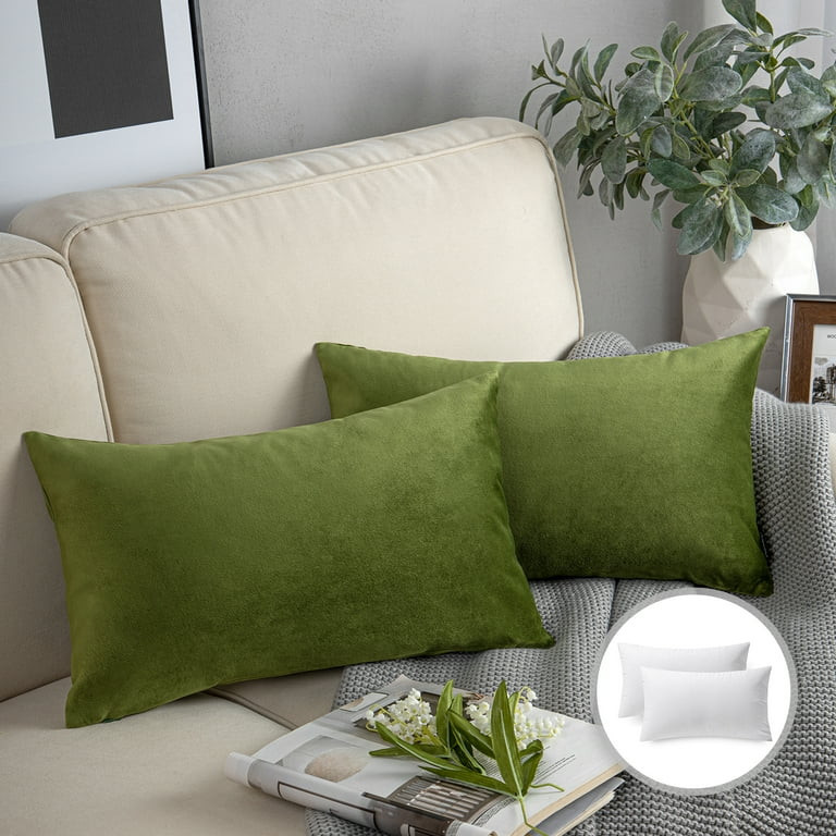 Phantoscope Soft Silky Velvet Series Square Decorative Throw Pillow Cusion for Couch, 12" x 20", ... | Walmart (US)