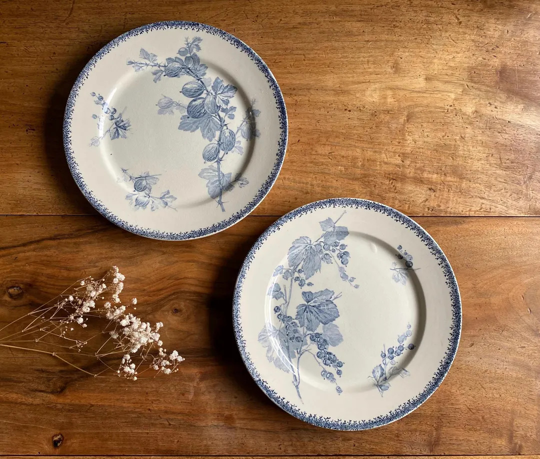 U&C SARREGUEMINES Dinner Plates - Redcurrant Decor - Etsy | Etsy (US)