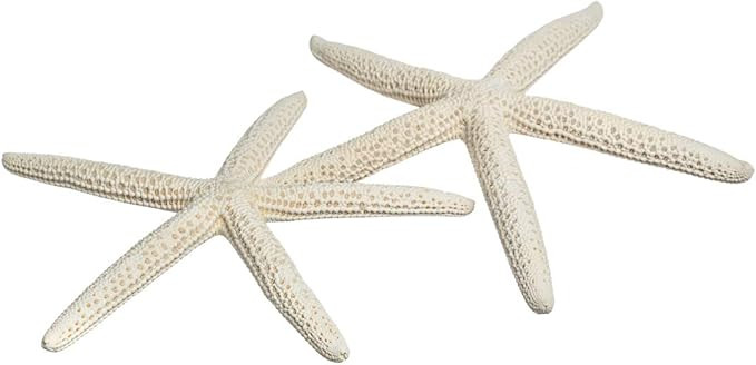 Starfish Decor - 2 Pack Large Star Fish 4-5 Inch - Starfish for Crafts - White Starfish Wall Déc... | Amazon (US)