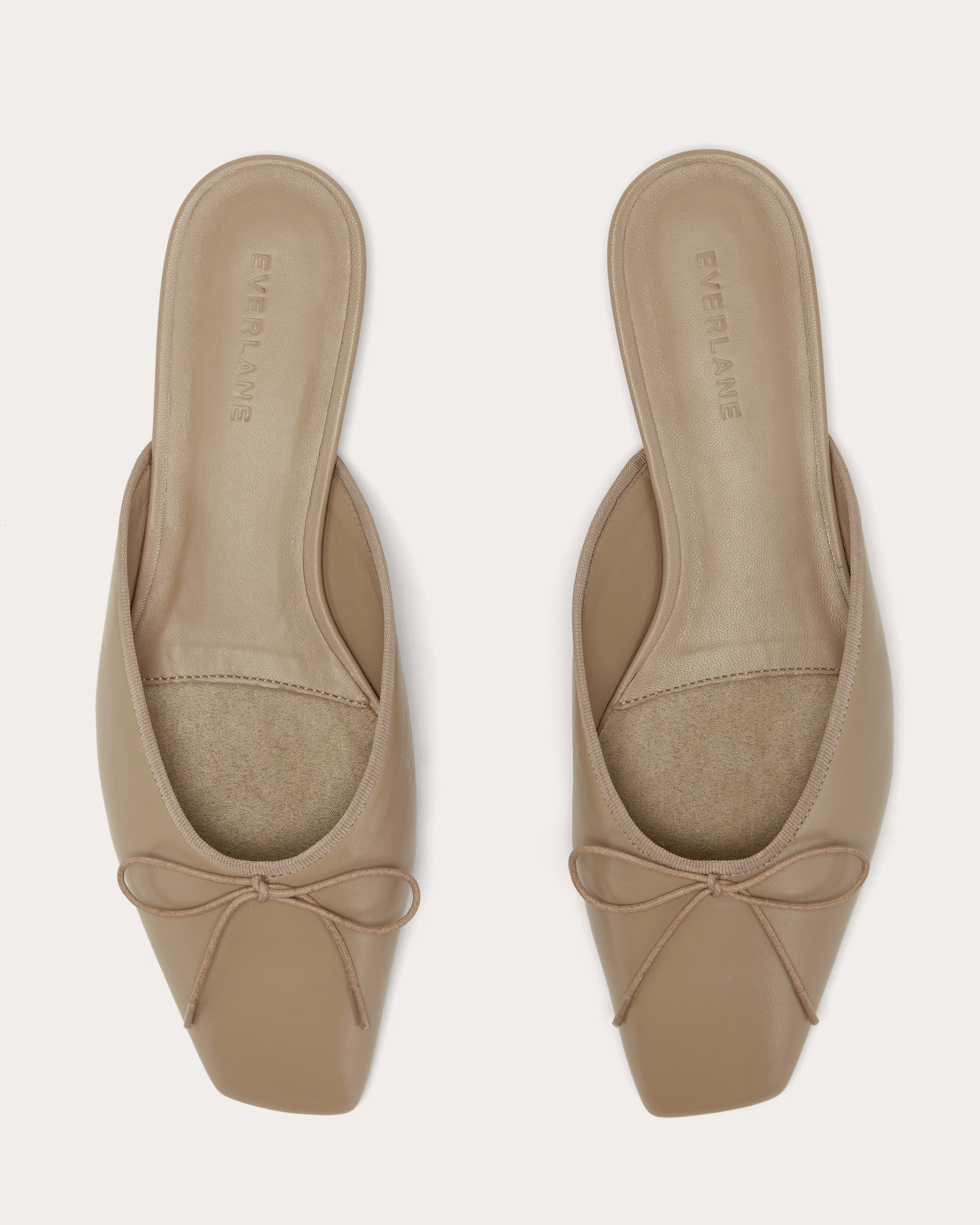 The Ballet Mule | Everlane