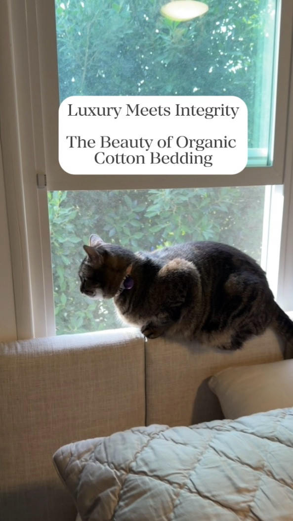 All the comfort, none of the toxins 🌿
Boll & Branch organic cotton sheets + quilt blanket and my Parachute linen body pillow proof that clean living can still feel like luxury. 🤍

#BollandBranch
#ParachuteHome
#LowToxLiving
#OrganicCotton
#SustainableHome

#LTKSeasonal #LTKHome #LTKOver40