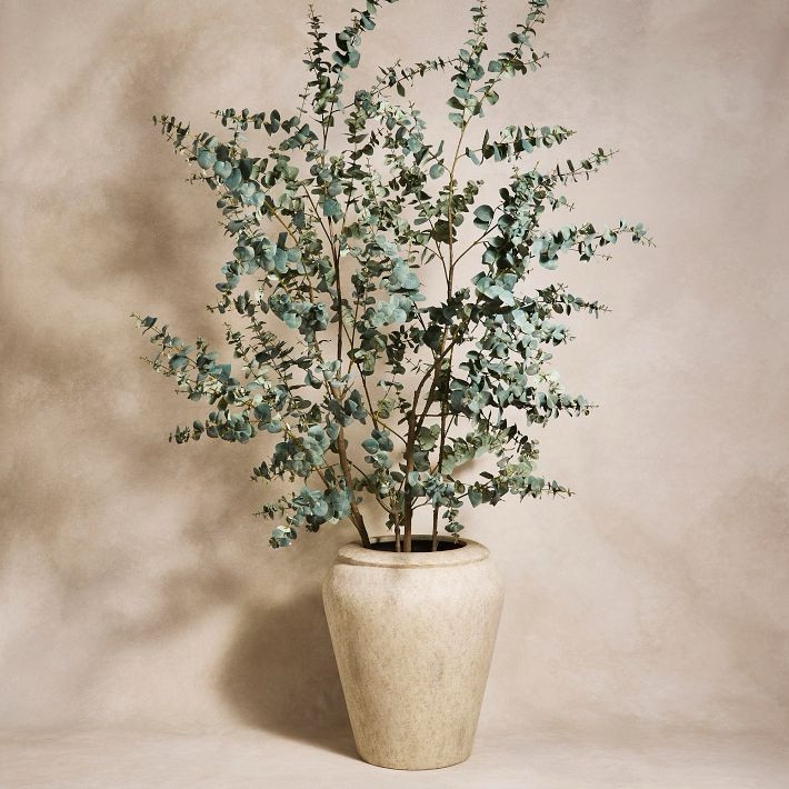 Faux Potted Eucalyptus tree

We love the realistic and quality of
This West Elm eucalyptus tree.

#LTKFallSale #LTKHome #LTKNYFW