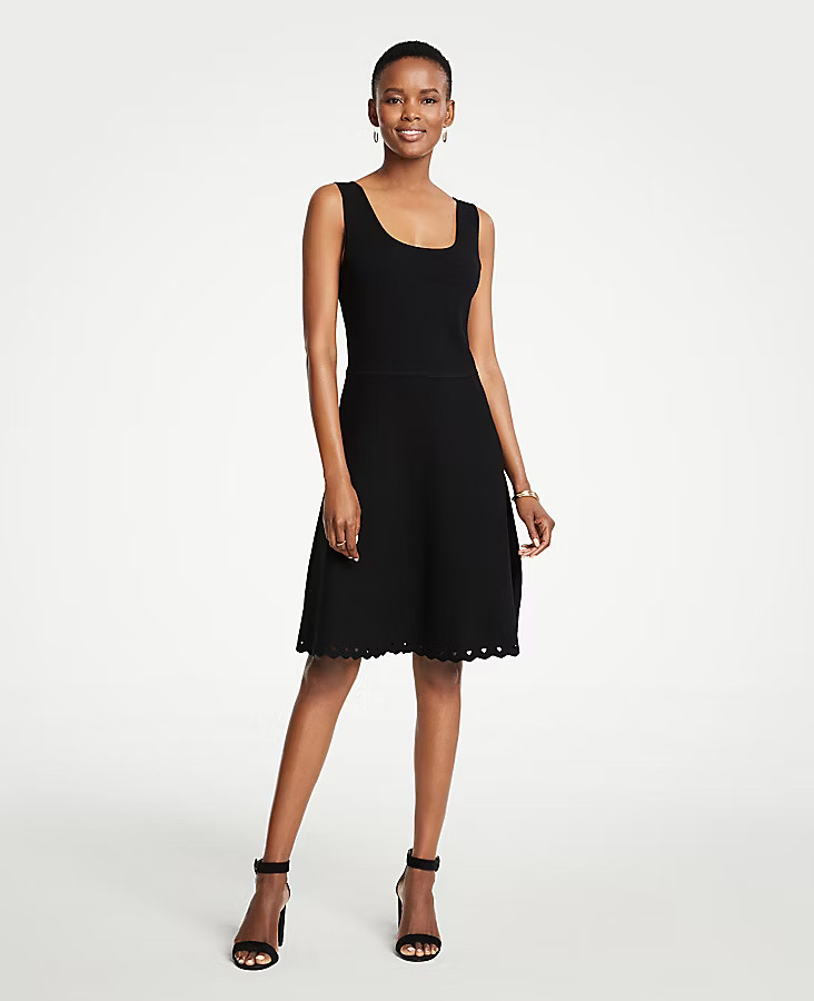 Scalloped Knit Flare Dress | Ann Taylor (US)