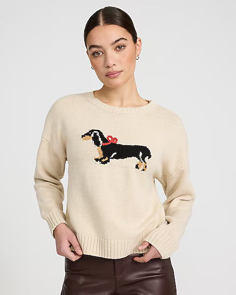 Dog Bow Graphic Crew Neck Sweater | Express
