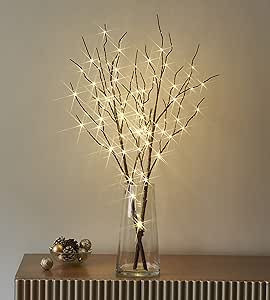 Visit the LITBLOOM Store | Amazon (US)