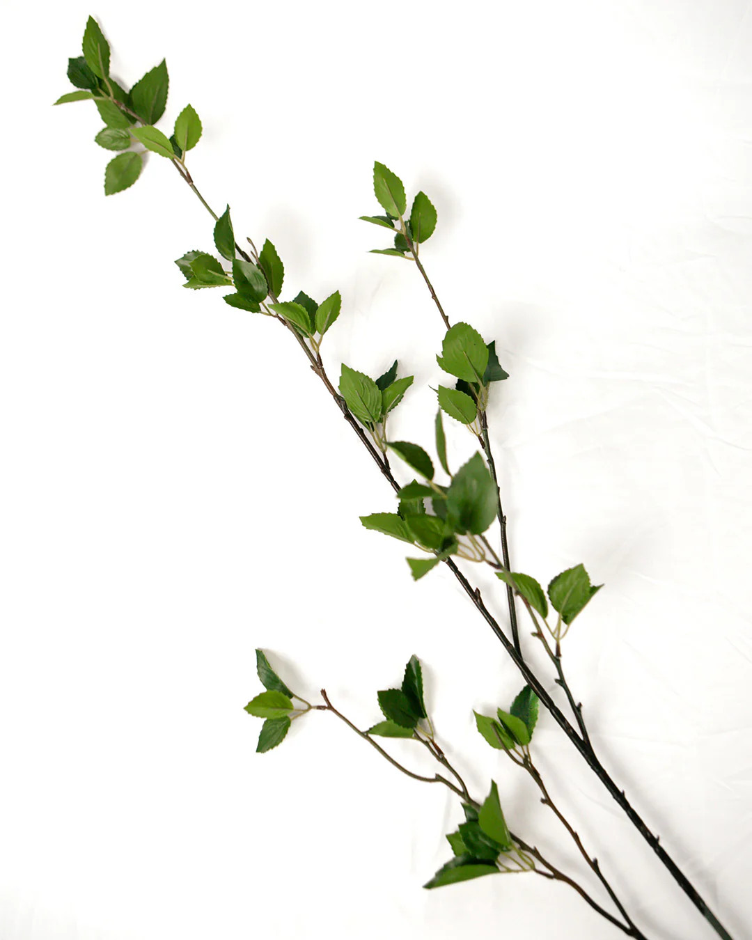 37" Mini Ficus Leaf Spray | Elements by Remedy