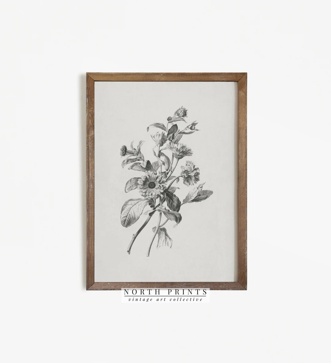 Vintage Flower Sketch | Antique Farmhouse Decor PRINTABLE Wall Art #314 | Etsy (US)