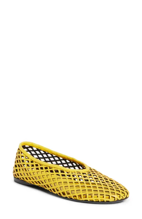 Proenza Schouler Tee Perforated Ballet Flat in Yellow at Nordstrom, Size 8.5Us | Nordstrom