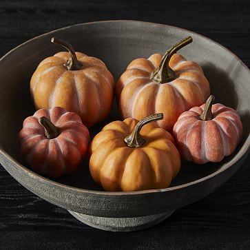 Faux Modern Orange Pumpkin Vase Filler - Set of 5



$20




$18


Limited time offer | West Elm (US)