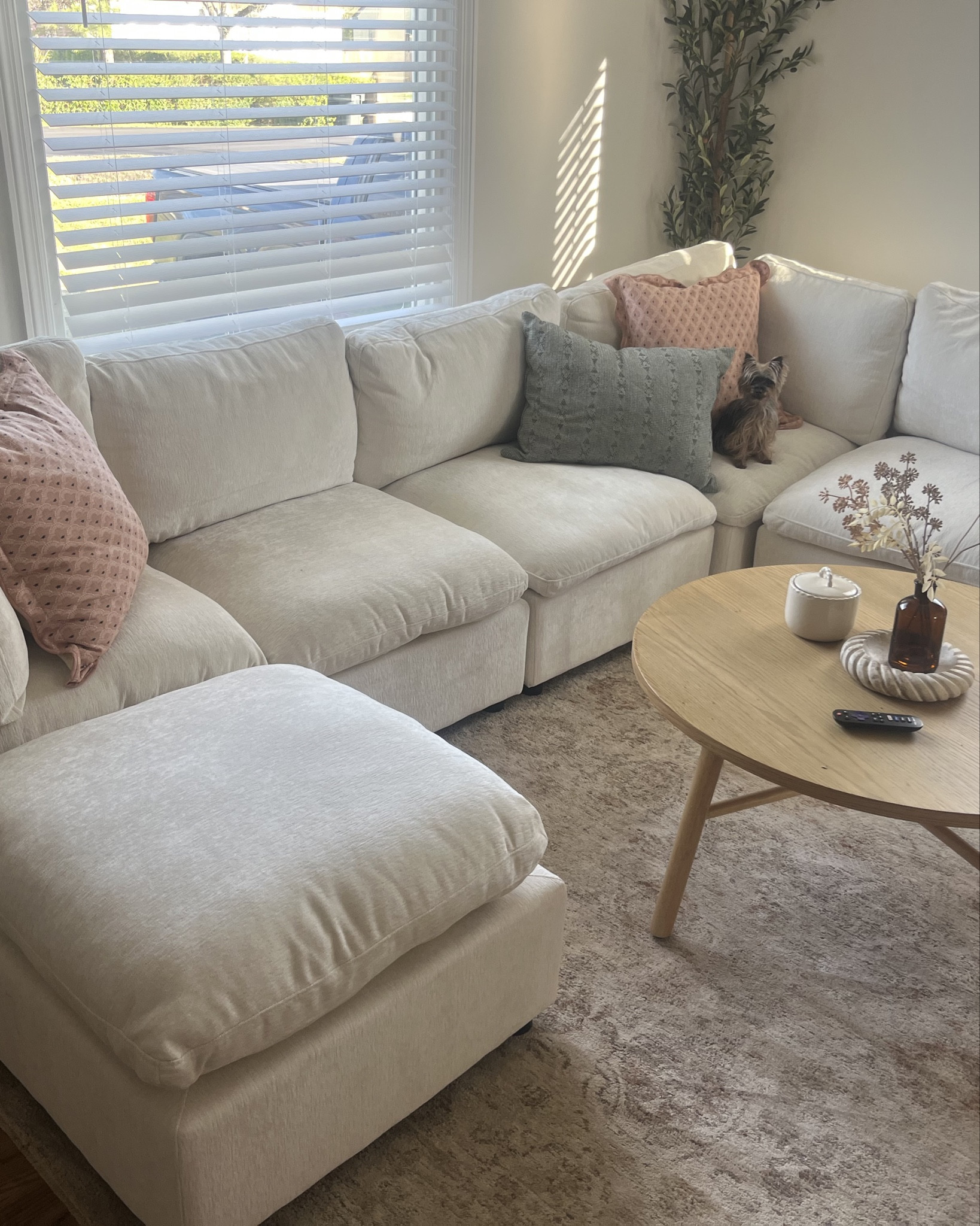 how I decorated my living room 🌷my favorite space🤍

#LTKStyleTip #LTKFindsUnder50 #LTKHome