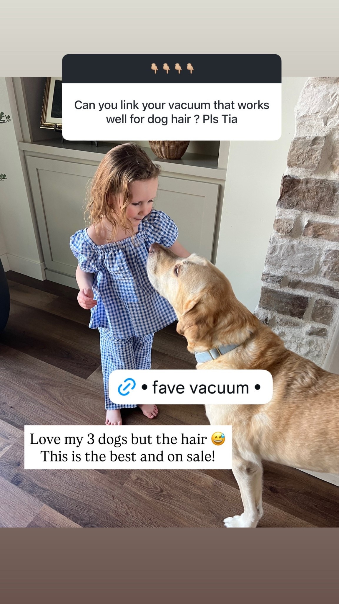Love my 3 dogs but the hair 😅 This is the best and on sale!

#LTKSeasonal #LTKHome