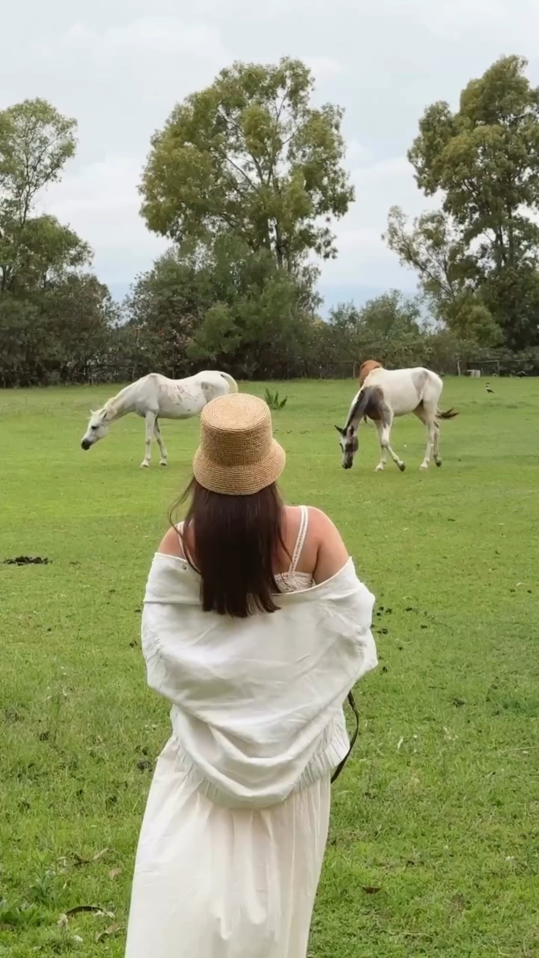 Soft and serene. 🌿