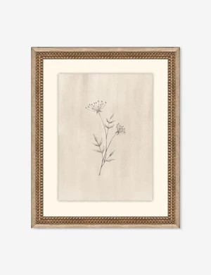 Elegant Botanical IV Wall Art by Makai Howell | Lulu and Georgia 