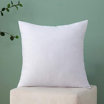 MIULEE Throw Pillow Insert Hypoallergenic Premium Pillow Stuffer Sham Square Form for Decorative ... | Amazon (US)