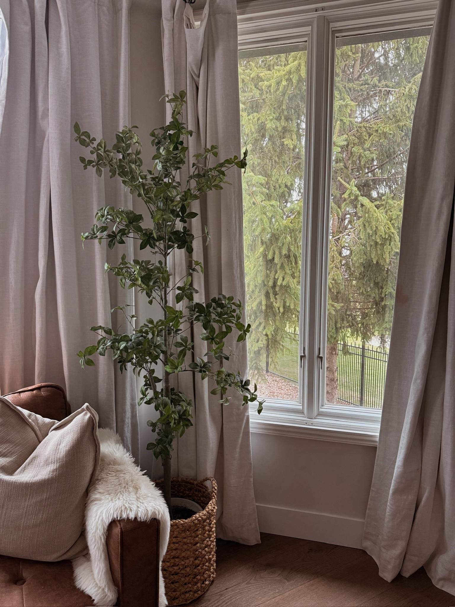 The cutest home decor love this Olive tree 🌲 

#LTKSeasonal #LTKHome #LTKStyleTip