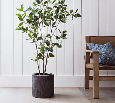 Faux Bay Leaf Tree - 5 Ft | Pottery Barn (US)