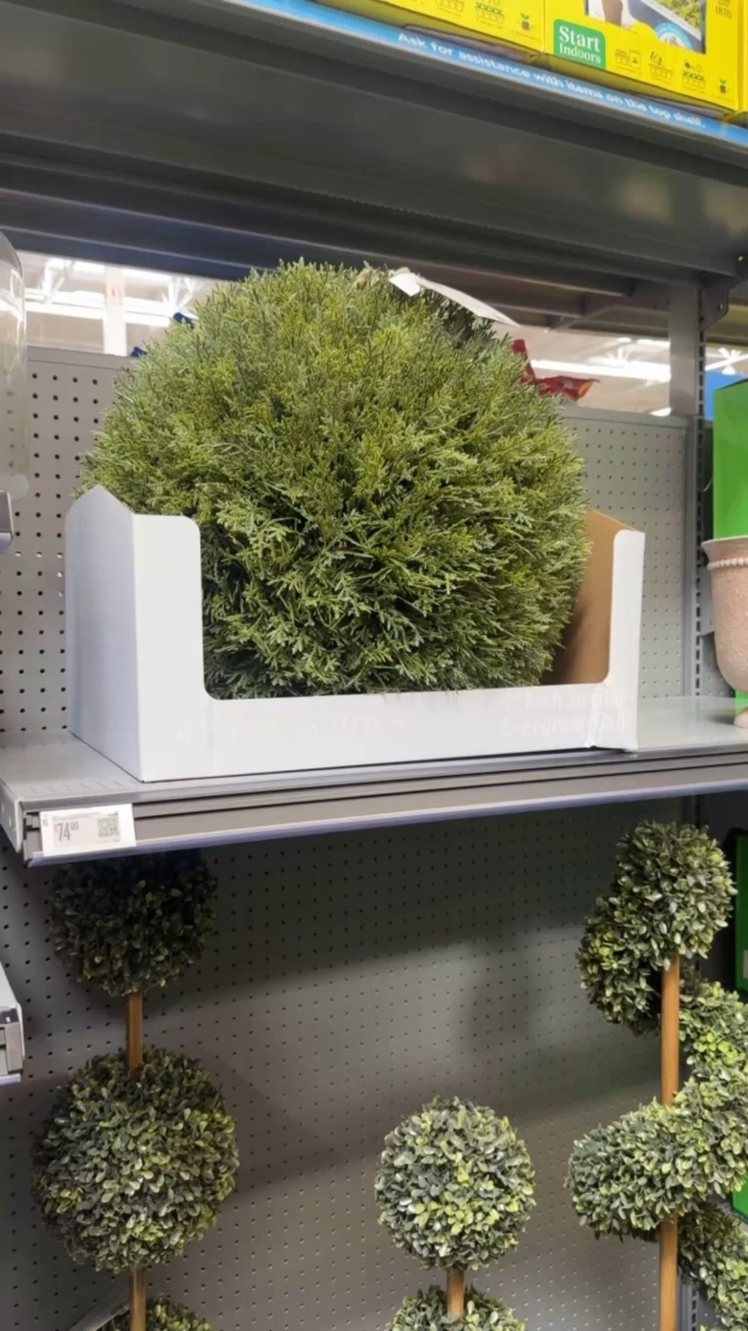 Loving this new topiary! 

Boxwood

#LTKSeasonal