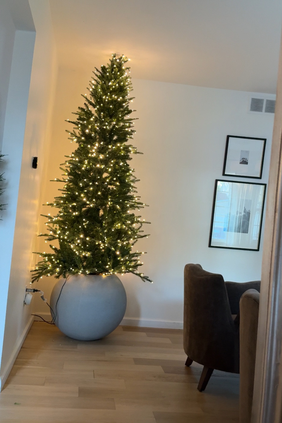 Pre lit christmas tree
Crate and Barrel planter

#LTKHoliday