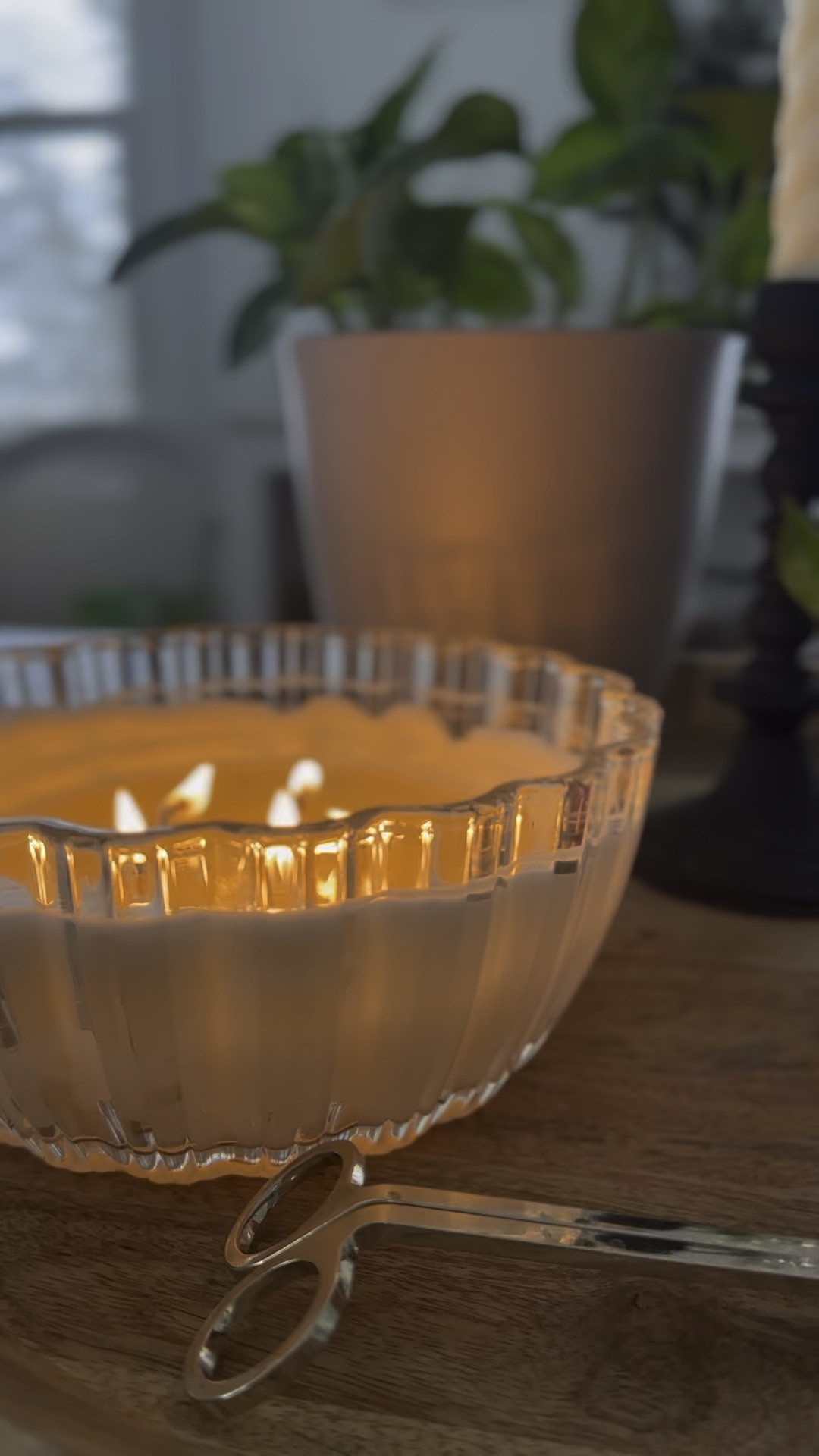 Such a subtle and refreshing scented 5-wick candle I recently got at target. Comes in a few other scents. This is the lavendar + Oak scent. The scalloped bowl makes a great catch all bowl or shelf styling decor piece when the candle is out! 

#LTKHome #LTKGiftGuide