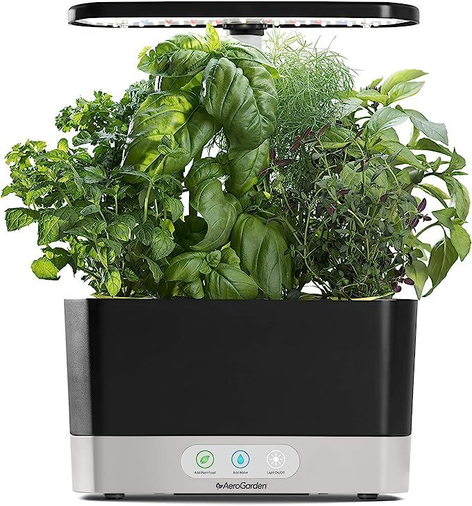 AeroGarden Black Harvest, 2019 Model | Amazon (US)