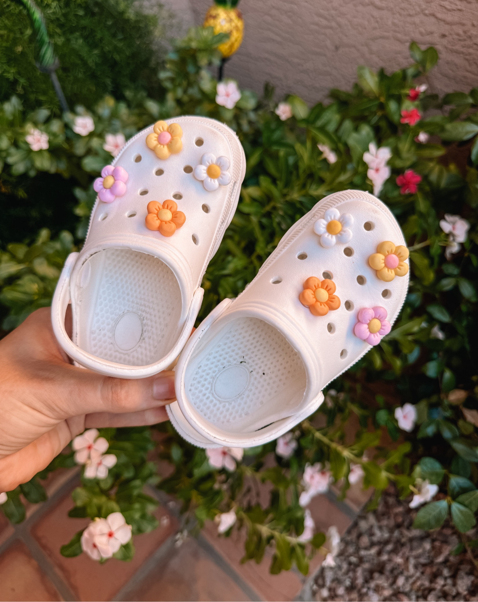 Harper’s new summer shoes 🌸🌼

Amazon, Amazon kids, Amazon shoes, Amazon style, crocs, summer shoes for kids, kids fashion, kids shoes, sandals, water shoes, jibbitz for crocs

#LTKShoeCrush #LTKKids #LTKSummerSales