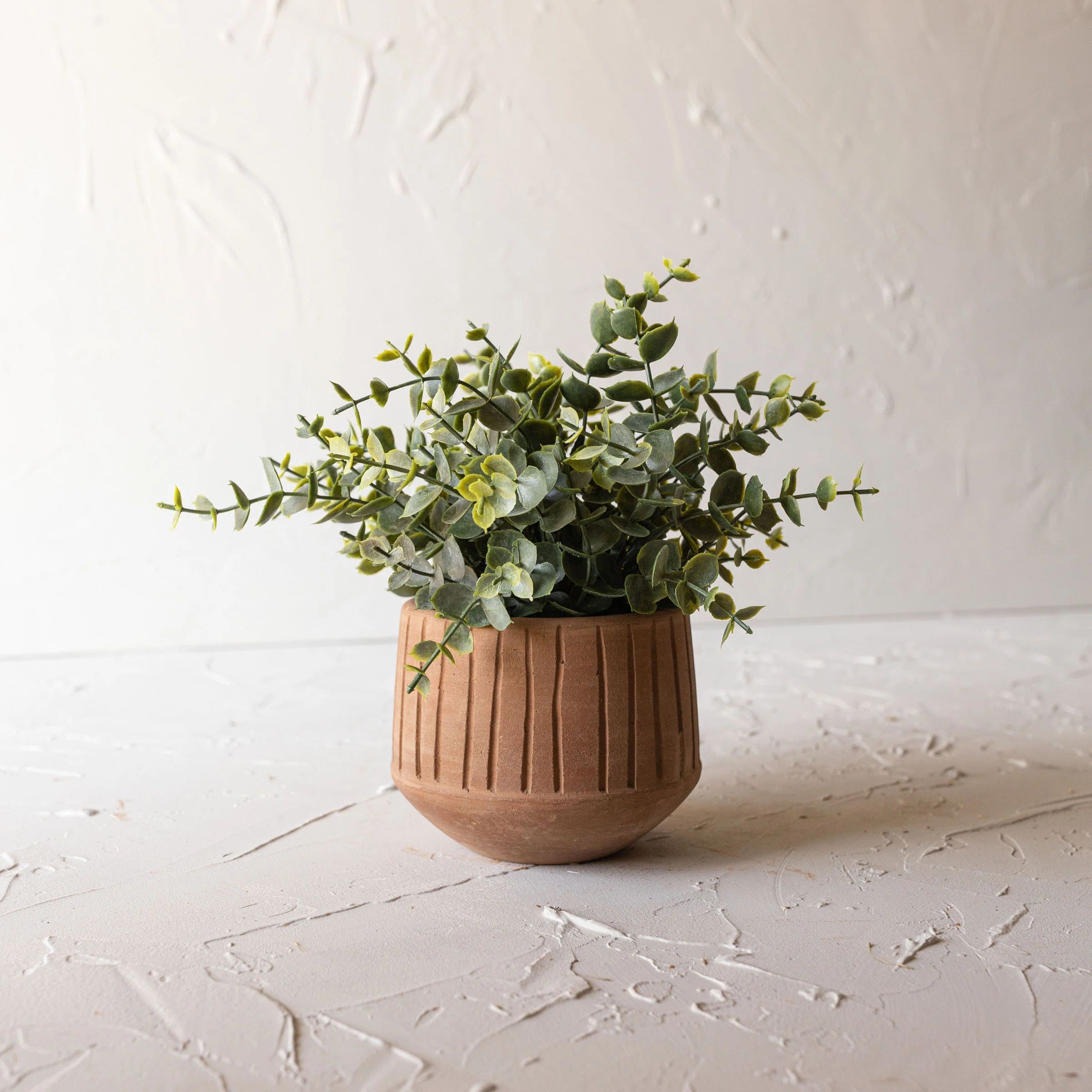 Foreside Home & Garden Terracotta Pot Planter | Wayfair | Wayfair North America