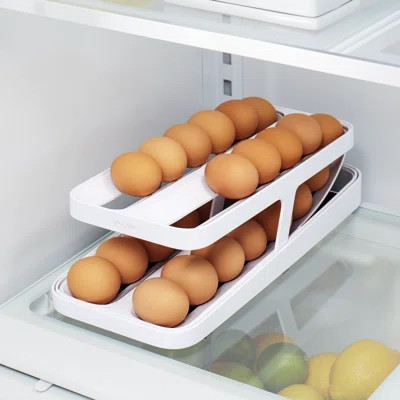 YouCopia RollDown® Egg Dispenser, Rolling Dispenser and Organizer for Refrigerator, Double Track | Wayfair North America