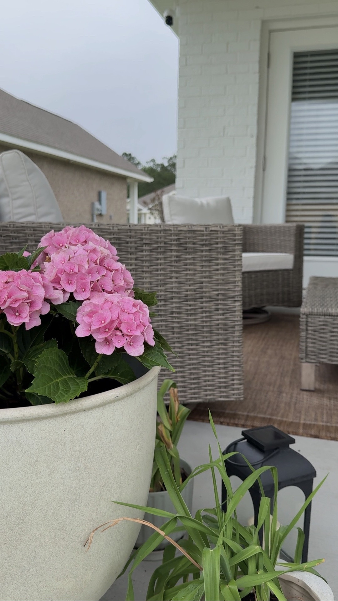 este espacio cada vez va tomando más forma 🥹 y es que ustedes no saben pero en mi casa mi patio siempre ha sido un lugar especial para mi, es ese lugar donde mi familia se reunía los domingos, hacíamos carnes asadas y disfrutábamos tanto ese tiempo y yo quiero crear un espacio igual para mi familia ❤️ así que me va a tomar tiempo pero poco a poco le voy a ir agregando más amor a este espacio 

#coverpatio #patiogarden #gardendecor #gardenideas #patioideas

#LTKSeasonal #LTKSaleAlert #LTKHome