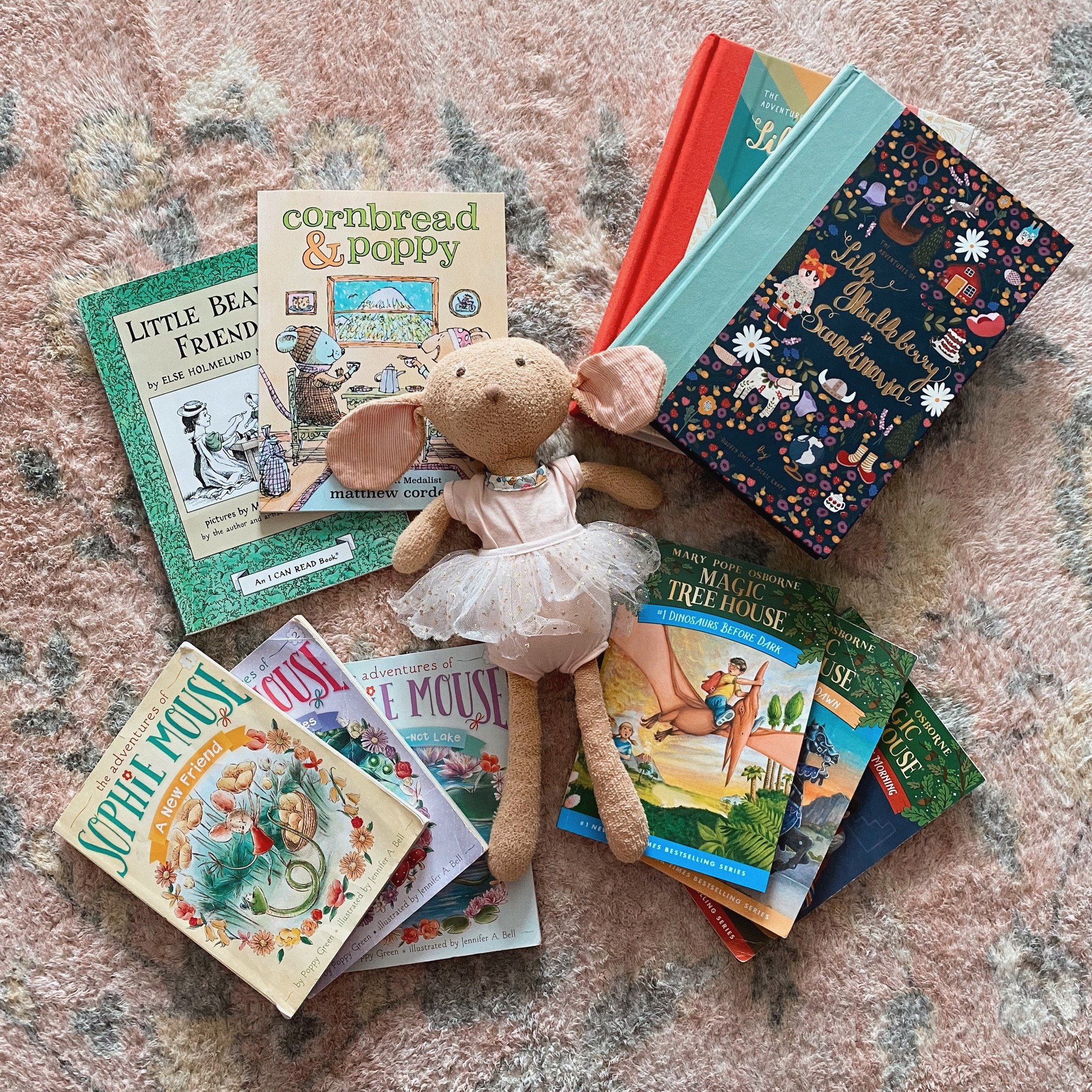 Our favorite beginner reader chapter books! 💕

#LTKGiftGuide #LTKkids #LTKfamily