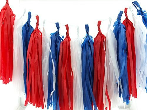 4th of July Party Garland, Red, White & Blue Paper Streamers (Set of 15) - Independence Day Party... | Amazon (US)