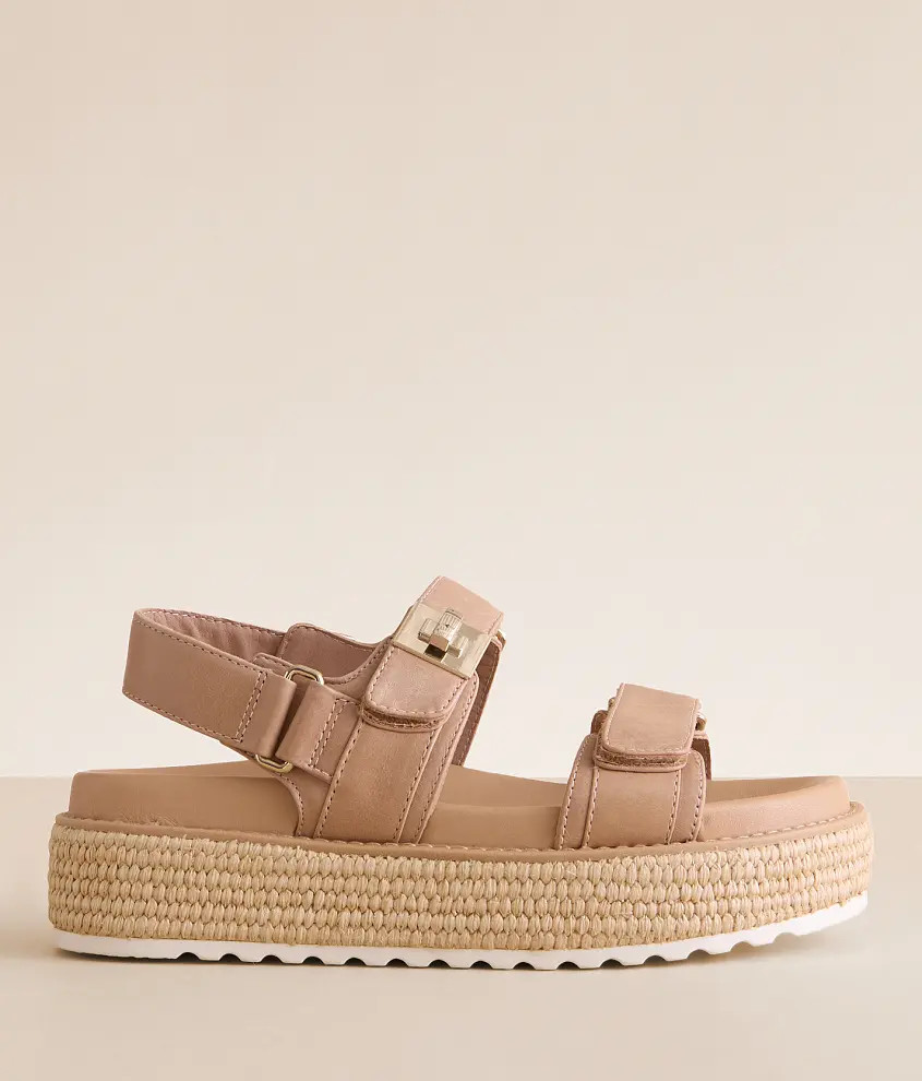 Steve Madden | Buckle
