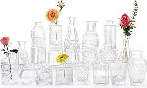 Glass Bud Vases -Set of 20 for Flowers, Small Clear Bud Vases in Bulk for Centerpieces Home Decor... | Amazon (US)