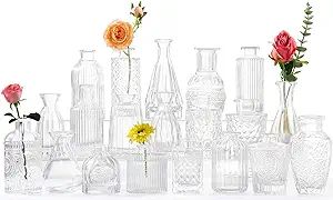 Glass Bud Vases -Set of 20 for Flowers, Small Clear Bud Vases in Bulk for Centerpieces Home Decor... | Amazon (US)